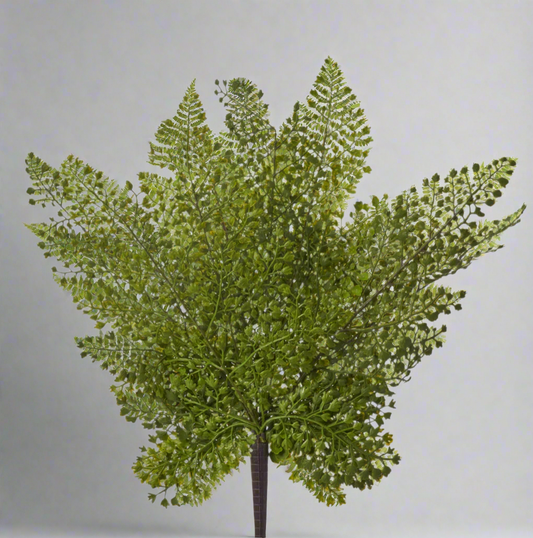 Maiden Fern Stem - Faux