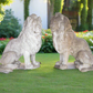 Exquisite 53” Tall Concrete Lions - A Pair