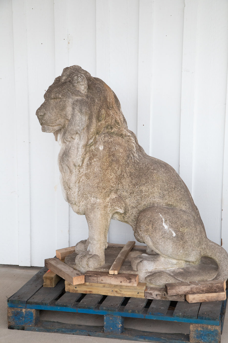 Exquisite 53” Tall Concrete Lions - A Pair