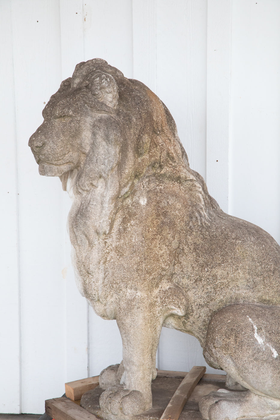 Exquisite 53” Tall Concrete Lions - A Pair