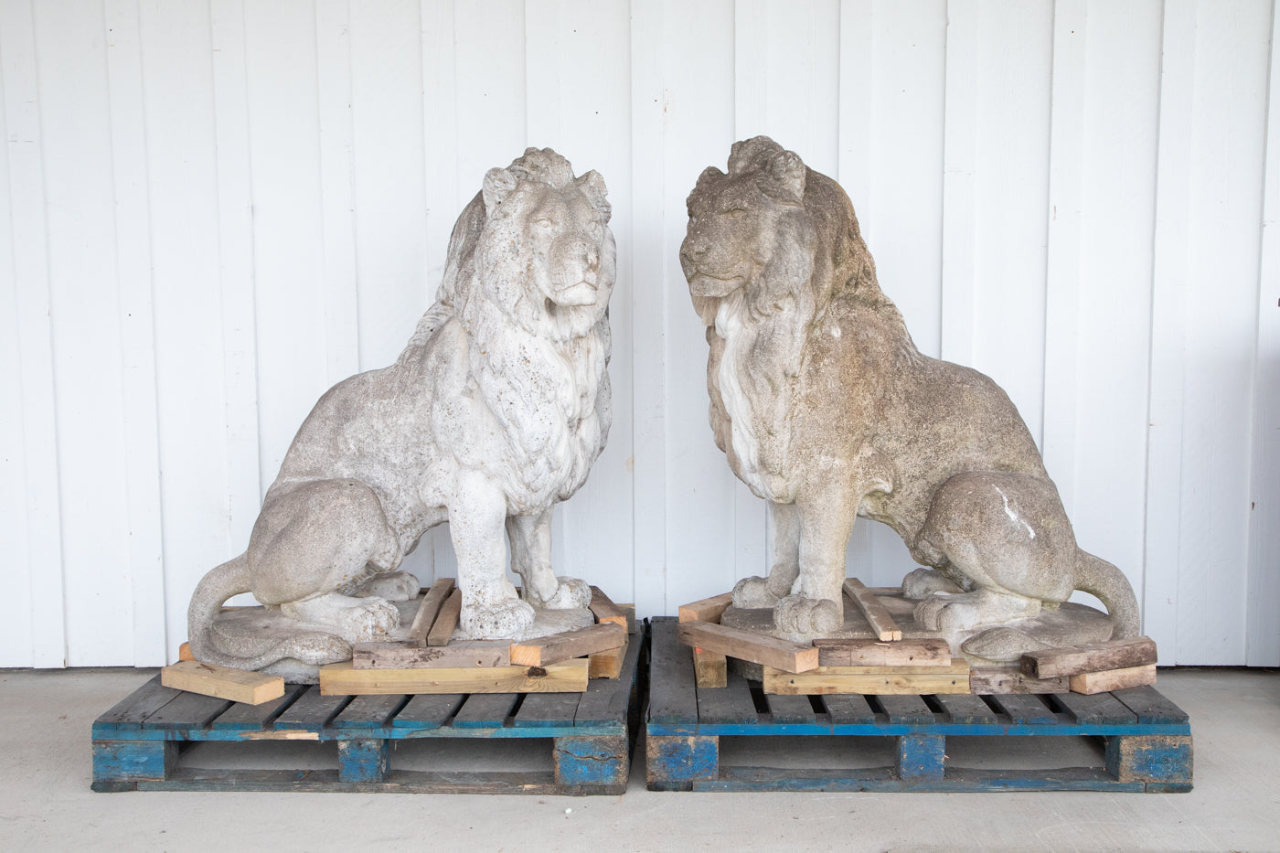 Exquisite 53” Tall Concrete Lions - A Pair