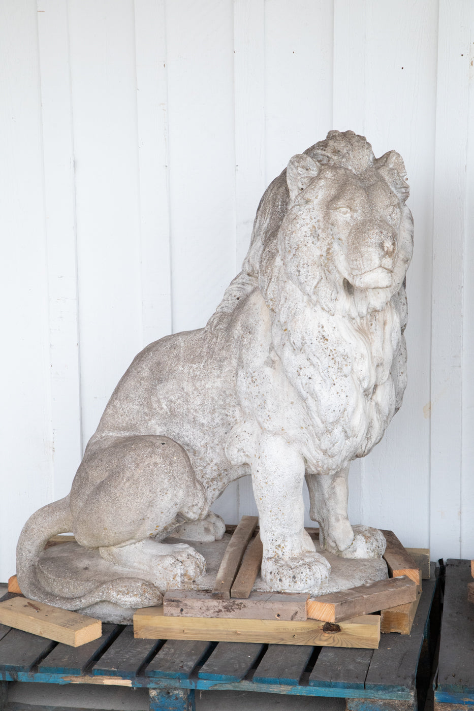 Exquisite 53” Tall Concrete Lions - A Pair