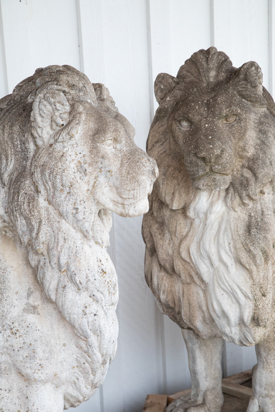 Exquisite 53” Tall Concrete Lions - A Pair