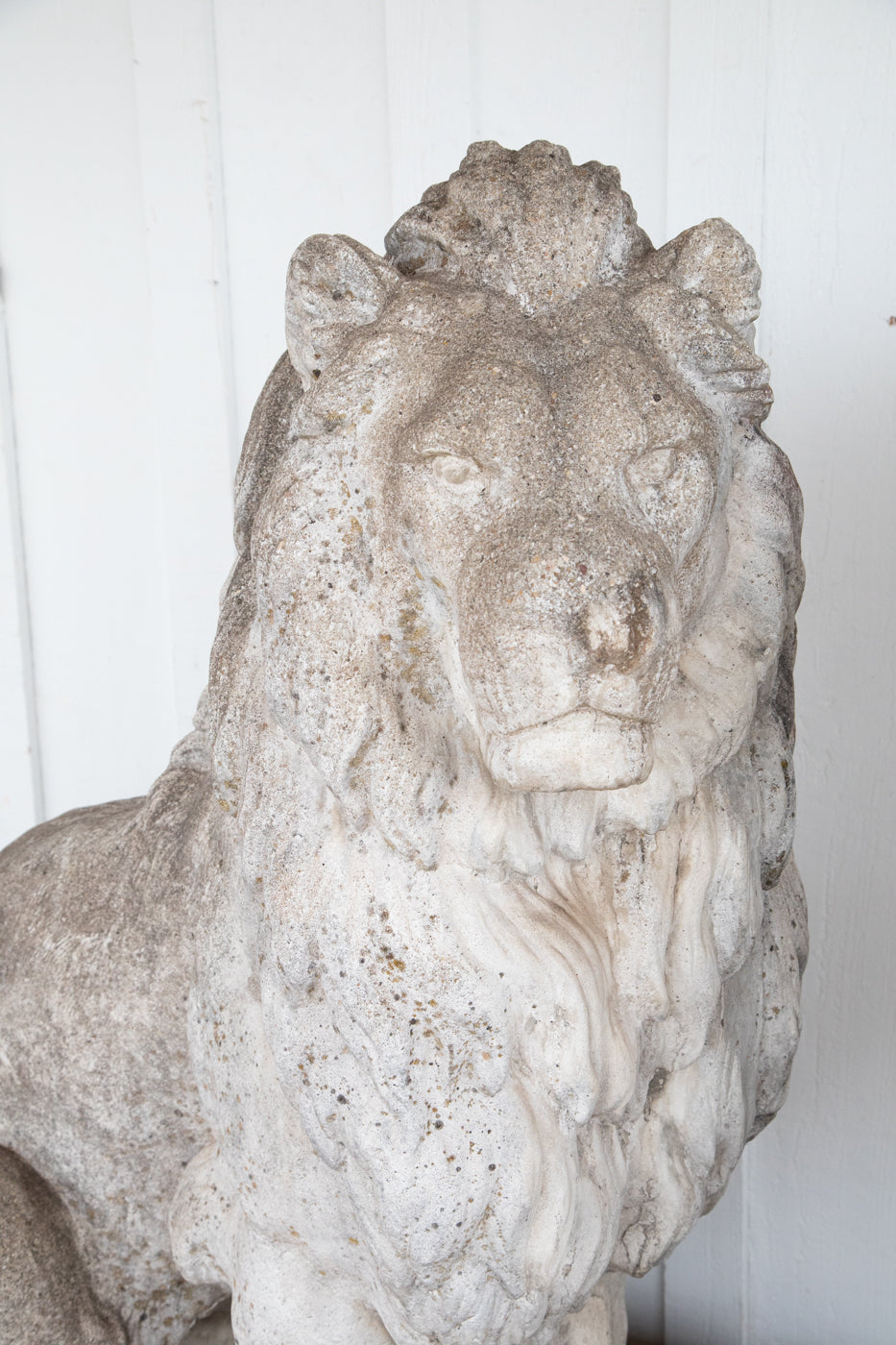 Exquisite 53” Tall Concrete Lions - A Pair