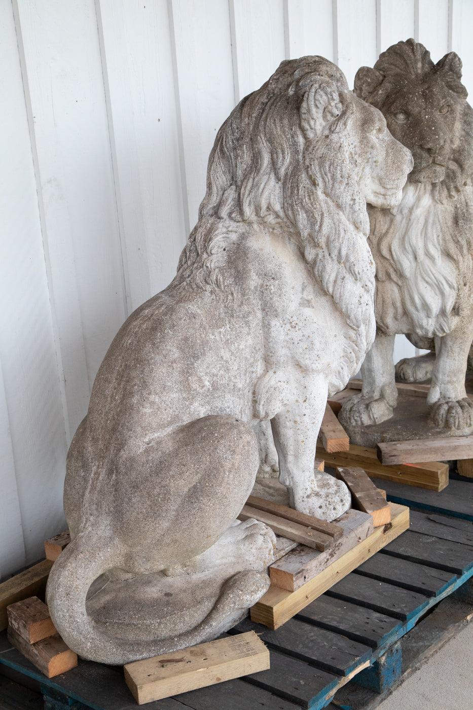 Exquisite 53” Tall Concrete Lions - A Pair