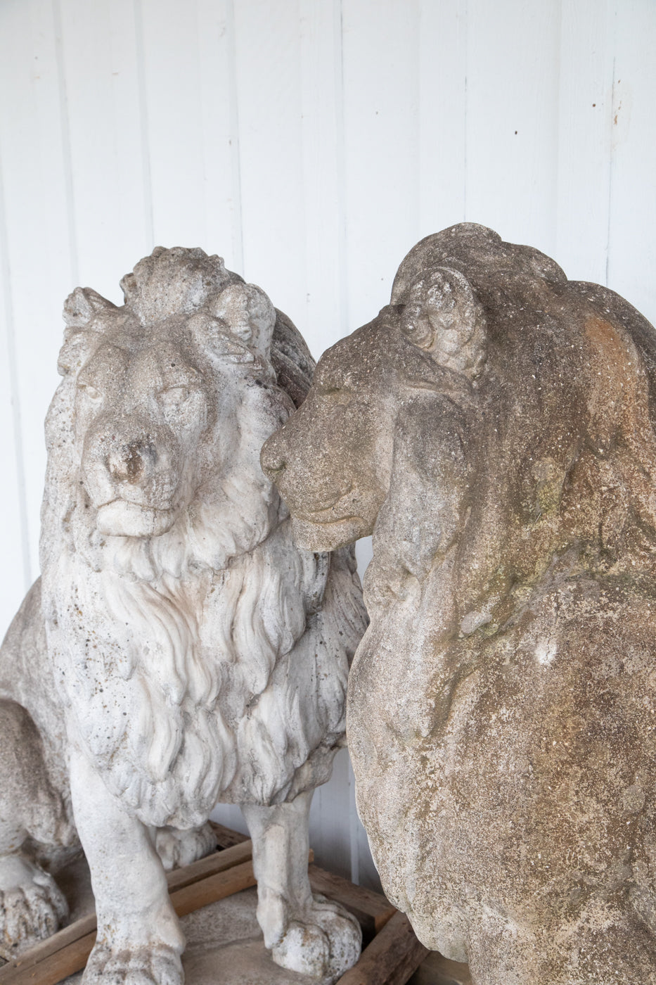 Exquisite 53” Tall Concrete Lions - A Pair