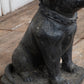 Black Concrete Bull Terrier Garden Statuary