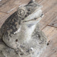 Stone Frog