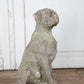 Concrete Boxer Large Hound Sculpture