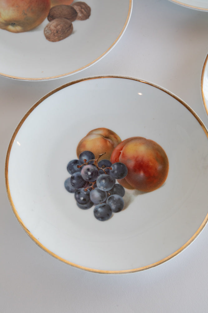 Set of 6 Bavarian Fruit Plates c.1870