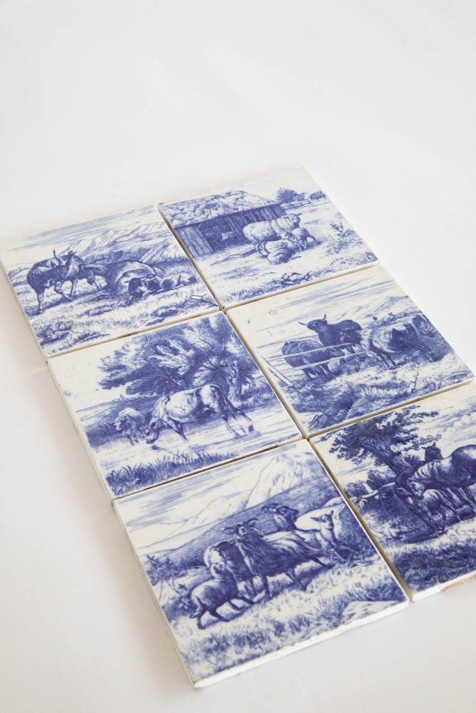 Blue and White Delft Tiles